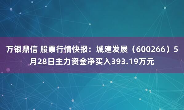 万银鼎信 股票行情快报：城建发展（600266）5月28日主力资金净买入393.19万元