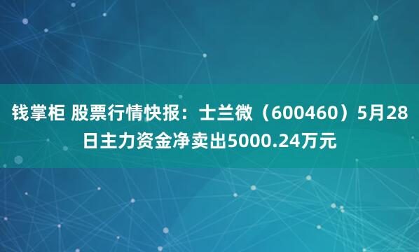 钱掌柜 股票行情快报：士兰微（600460）5月28日主力资金净卖出5000.24万元