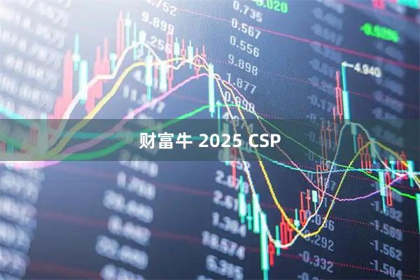 财富牛 2025 CSP