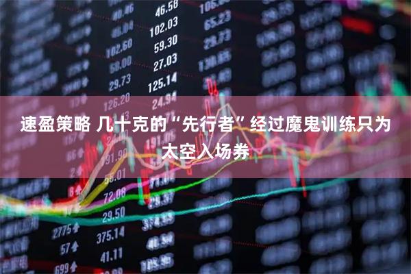 速盈策略 几十克的“先行者”经过魔鬼训练只为太空入场券