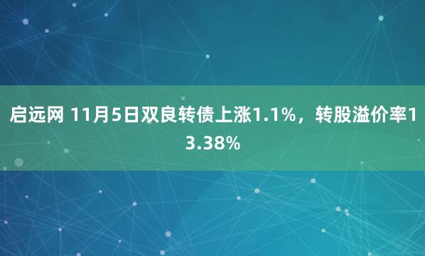 启远网 11月5日双良转债上涨1.1%，转股溢价率13.38%