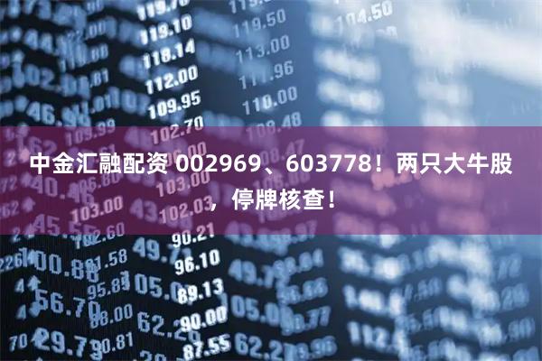 中金汇融配资 002969、603778！两只大牛股，停牌核查！