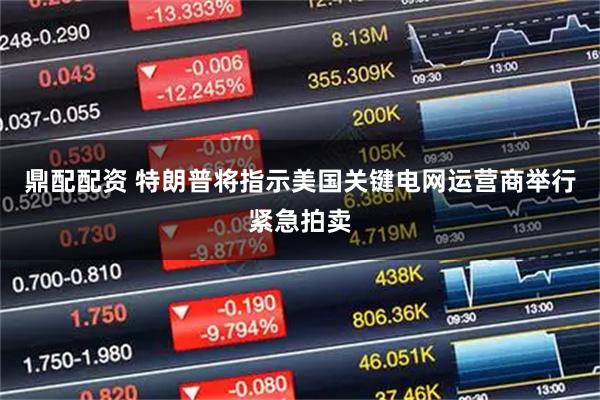 鼎配配资 特朗普将指示美国关键电网运营商举行紧急拍卖