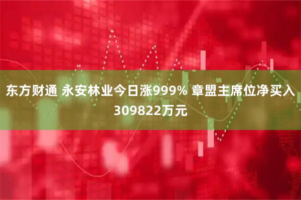 东方财通 永安林业今日涨999% 章盟主席位净买入309822万元